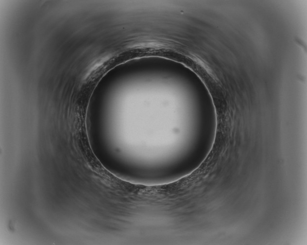 X0000097860967200803141235