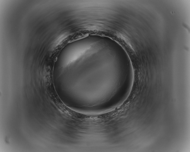 X0000097860968200803141235