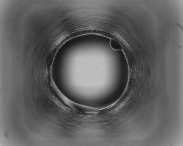 X0000097860969200803141235