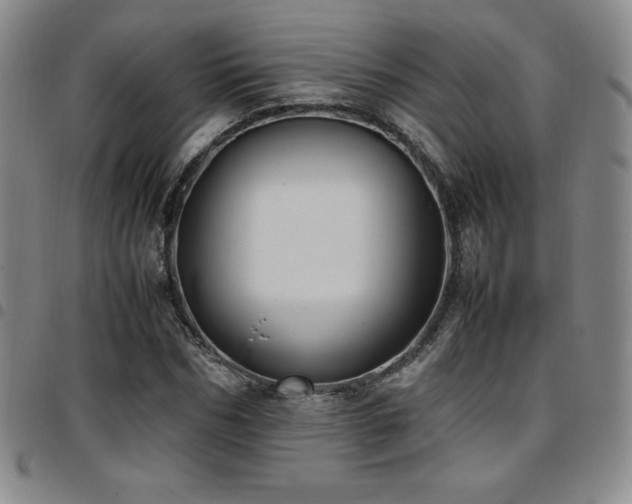 X0000097860970200803141235