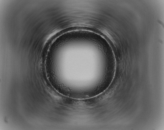 X0000097860971200803141235