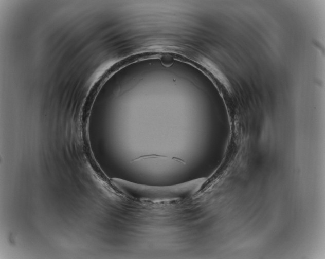 X0000097860972200803141235