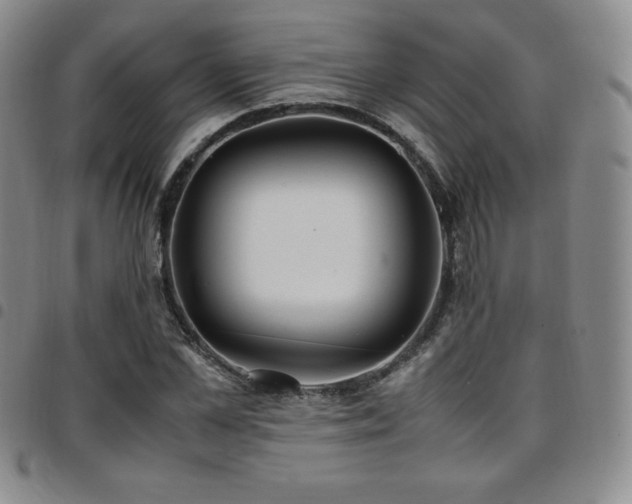 X0000097860973200803141235