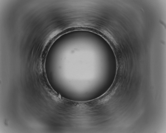 X0000097860974200803141235