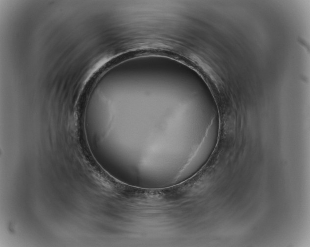 X0000097860975200803141235