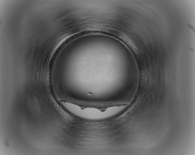 X0000097860976200803141235