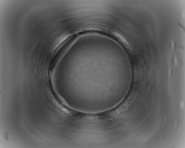 X0000097860977200803141235