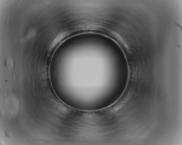 X0000097860978200803141235