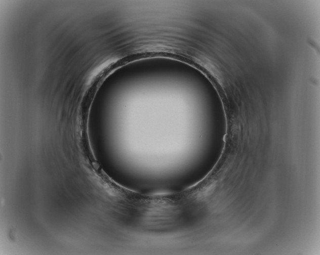 X0000097860979200803141235