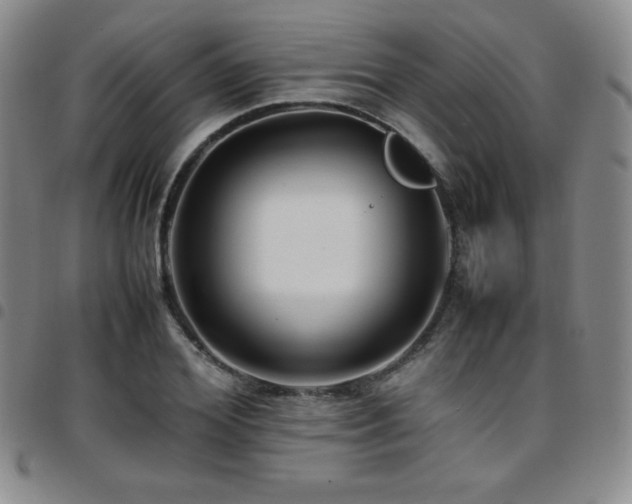 X0000097860980200803141235