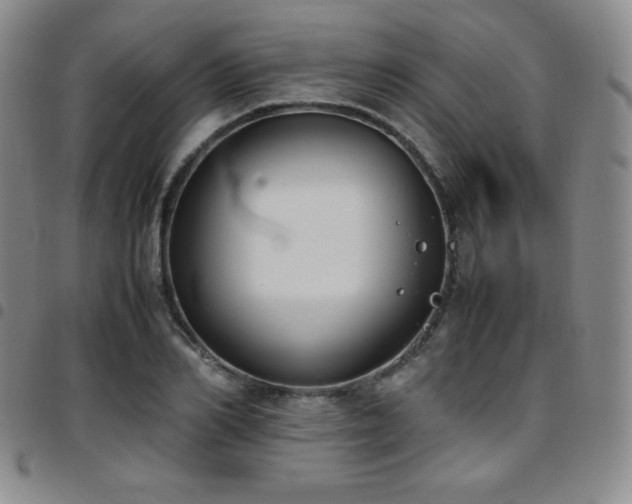 X0000097860982200803141235