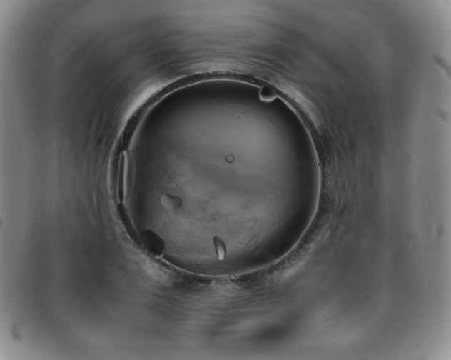 X0000097860983200803141235