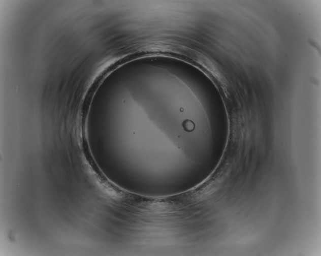 X0000097860984200803141235