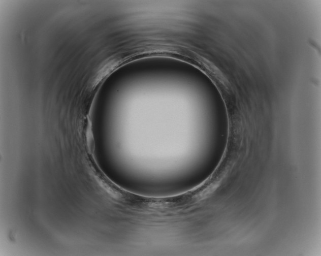 X0000097860985200803141235