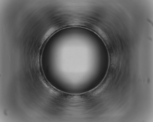 X0000097860986200803141235