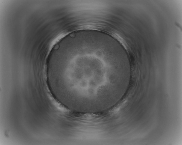 X0000097860987200803141235