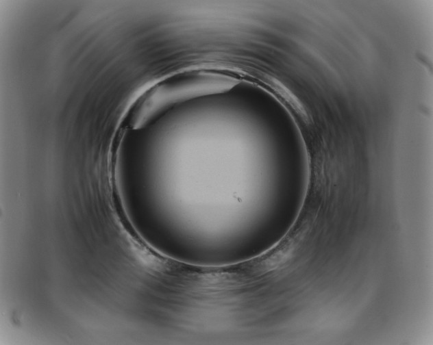 X0000097860988200803141235