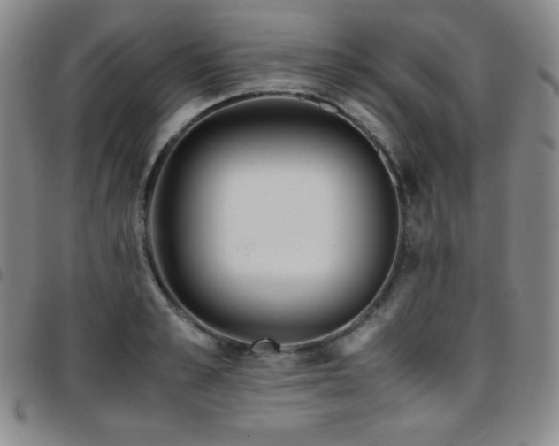 X0000097860989200803141235