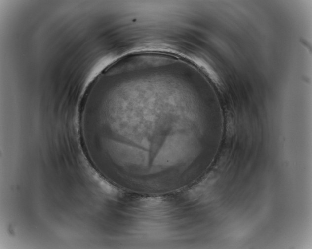 X0000097860990200803141235