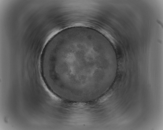 X0000097860991200803141234