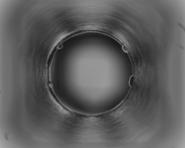 X0000097860992200803141234