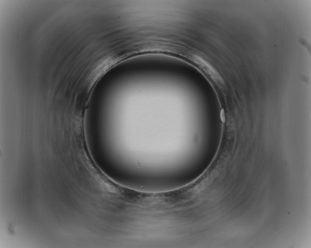 X0000097860993200803141234