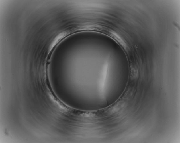 X0000097860994200803141234