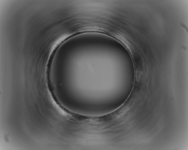 X0000097860995200803141234