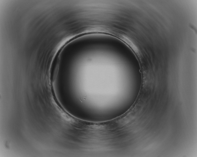 X0000097860996200803141234