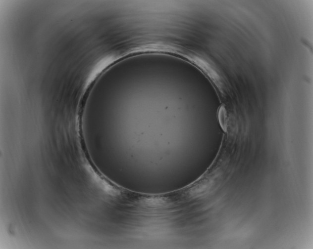 X0000097860998200803141234