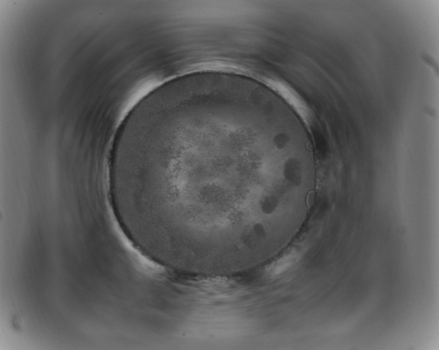 X0000097860999200803141234