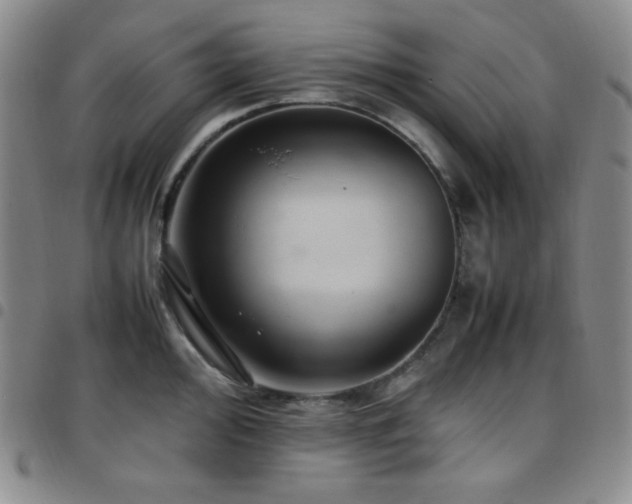 X0000097861000200803141234