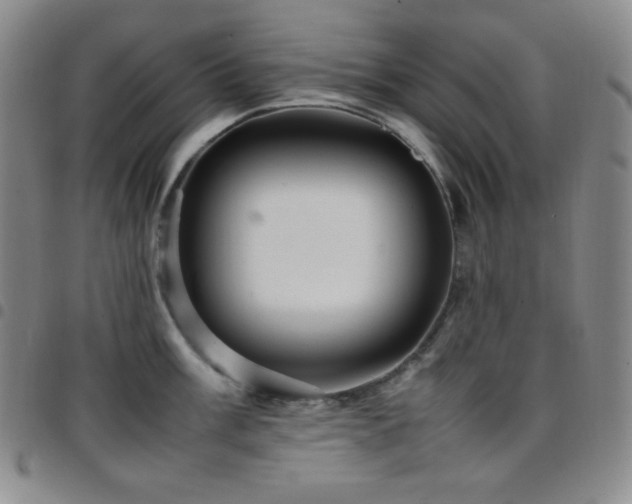 X0000097861003200803141234