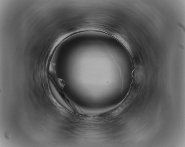 X0000097861004200803141234