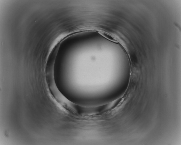 X0000097861005200803141234