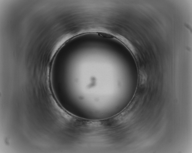 X0000097861006200803141234