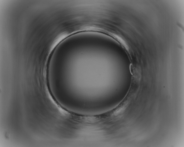 X0000097861007200803141234