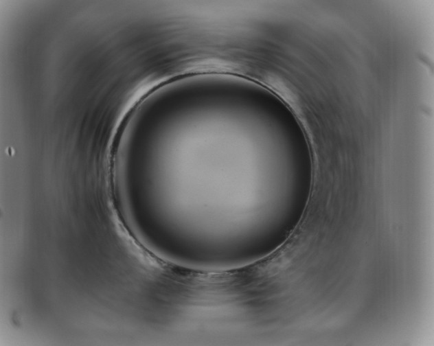 X0000097861008200803141234