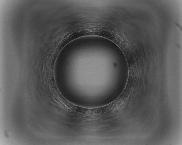 X0000097861009200803141233