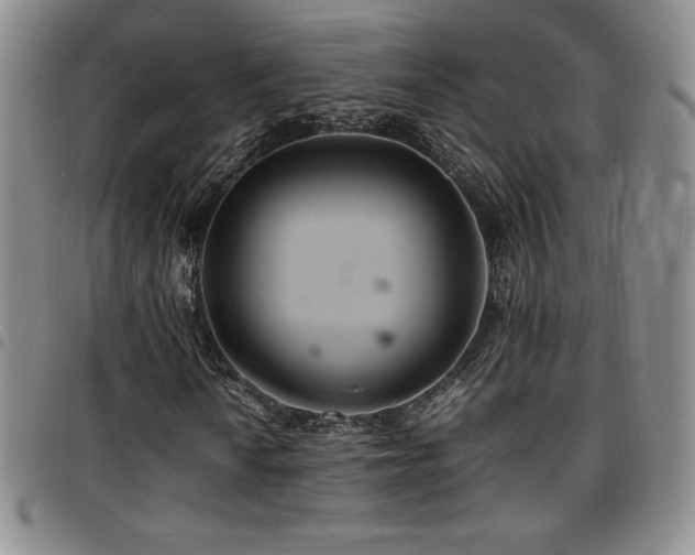 X0000097861010200803141233