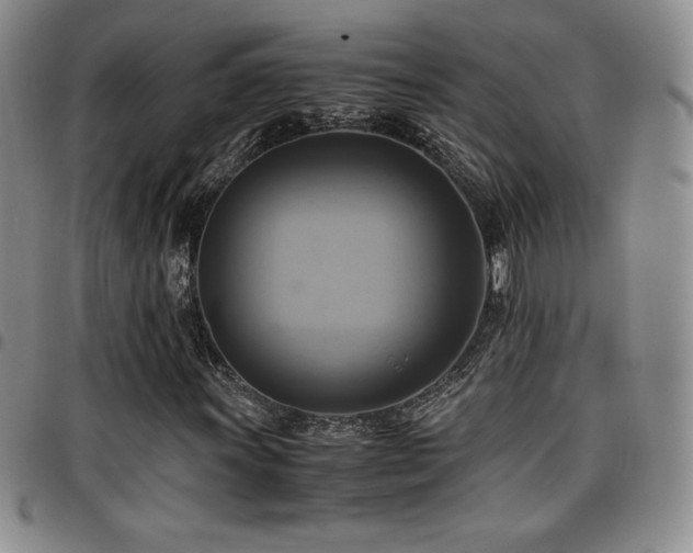 X0000097861011200803141233