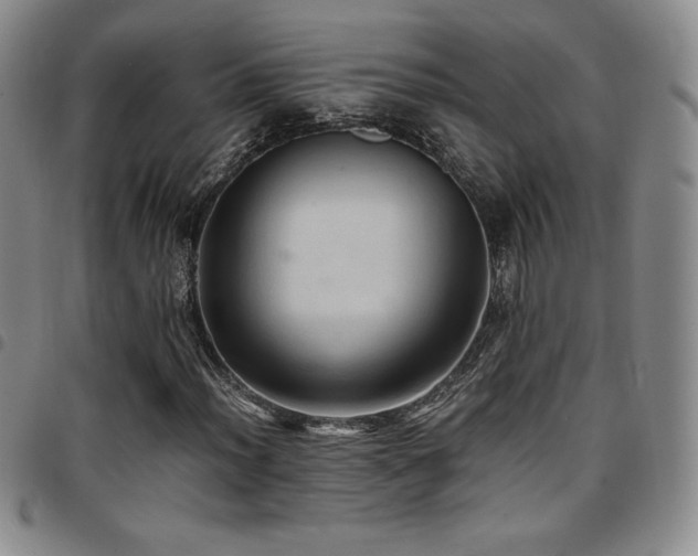 X0000097861012200803141233