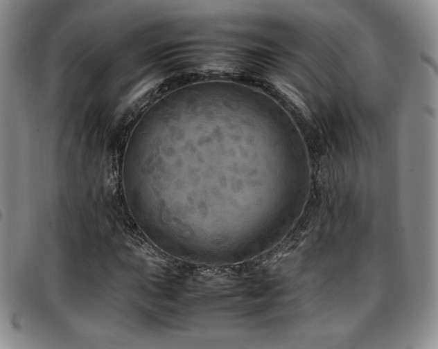 X0000097861015200803141234