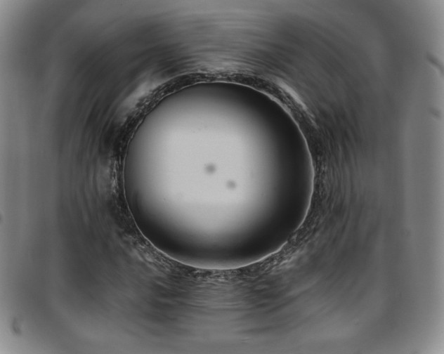 X0000097861016200803141234