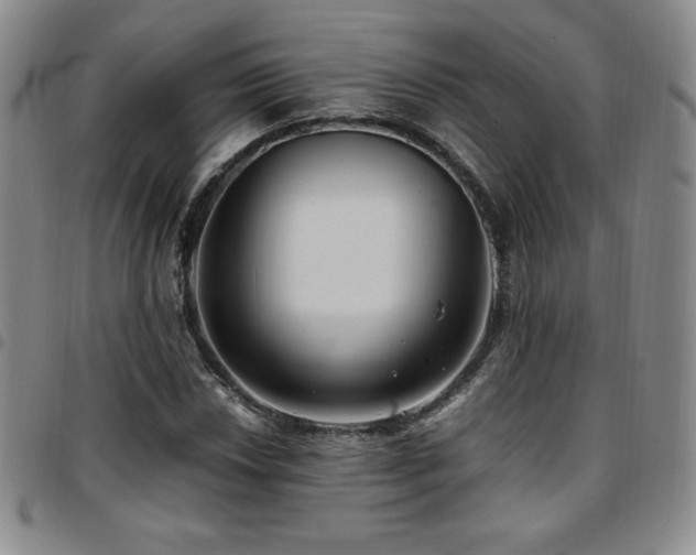 X0000097861018200803141234