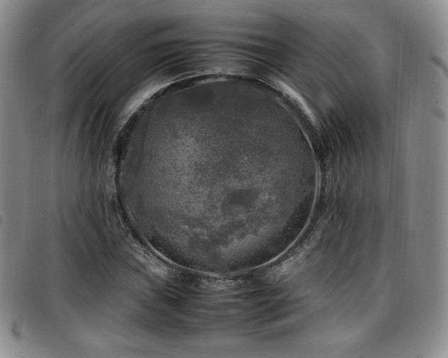 X0000097861019200803141234