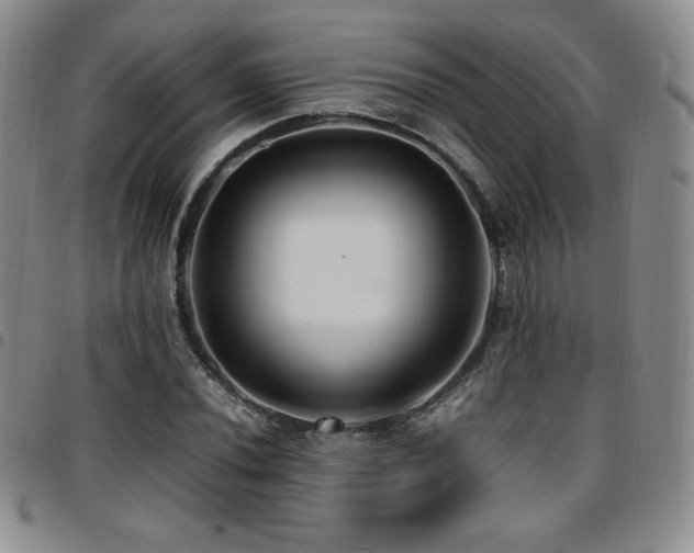 X0000097861020200803141234