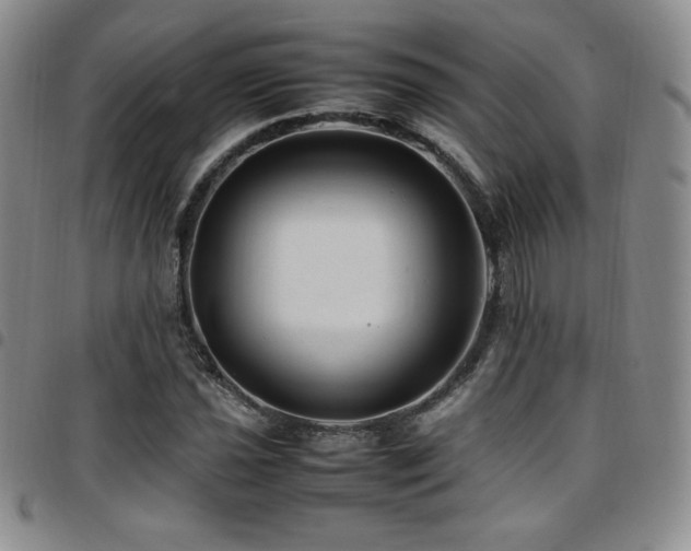 X0000097861021200803141234