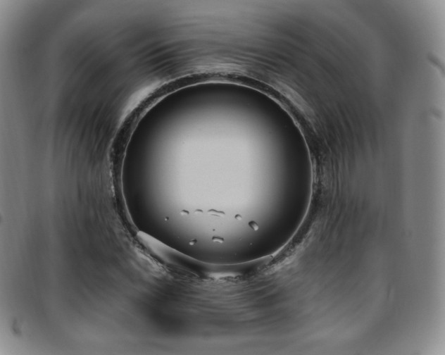 X0000097861022200803141234