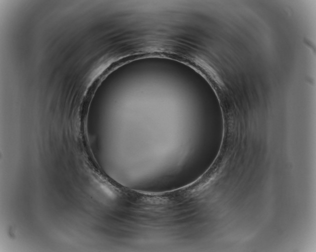 X0000097861023200803141234